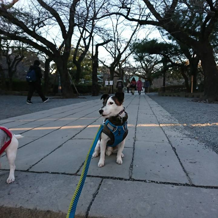 53eb4318 9bad 4e18 a912 3f37e9e3f6a2 1517039042055