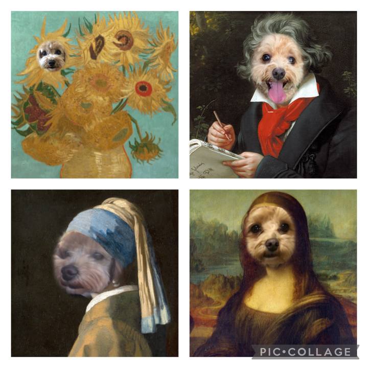 53eb6540 c255 48f4 a9e5 ecaabe349c5f 1635559645724