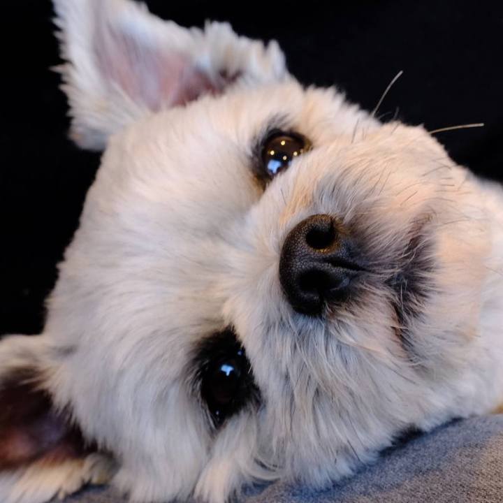 53eb86ee dbfd 429b b7f5 13b8939e5437 1613645312914