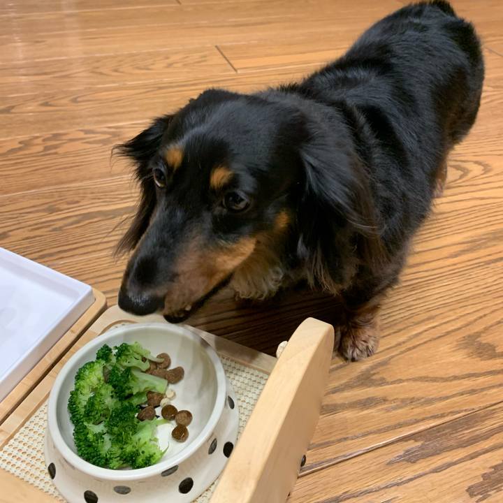 53eba27e d221 49fd ae26 36c6b9e377b7 1655724051507