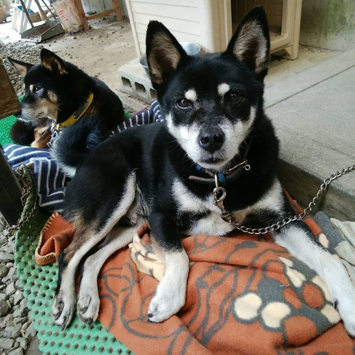 53ebc79d 3392 4c8f afe6 3dcdfb12d252 1546489131430