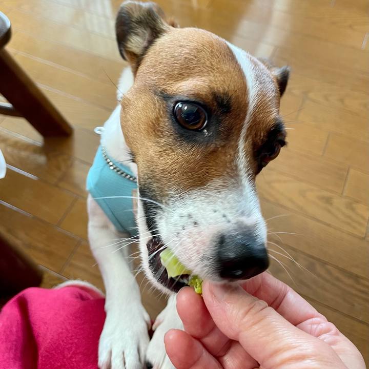 53ec1c2c c5da 4501 a515 b412cd942ef5 1627602346402