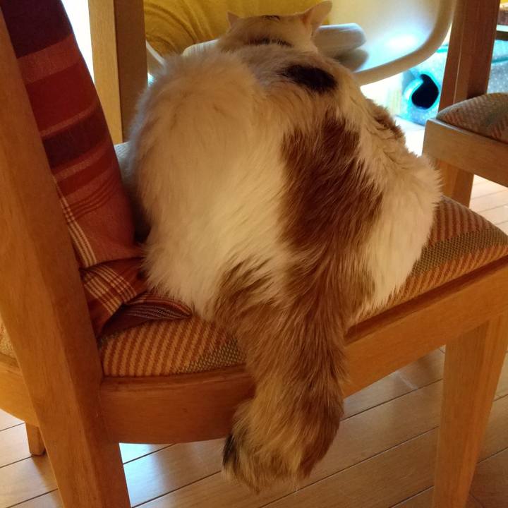 53ec2966 3c4a 4269 acfd de21a018f63b 1610579198973