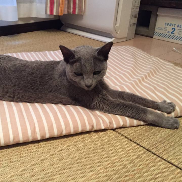 53ec740c 7472 4aaa ba29 62219cf52de3 1568848981936