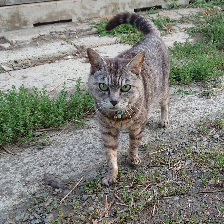 53ec80a2 1a13 4bbf 8e49 cc663d57b13e 1563223599217