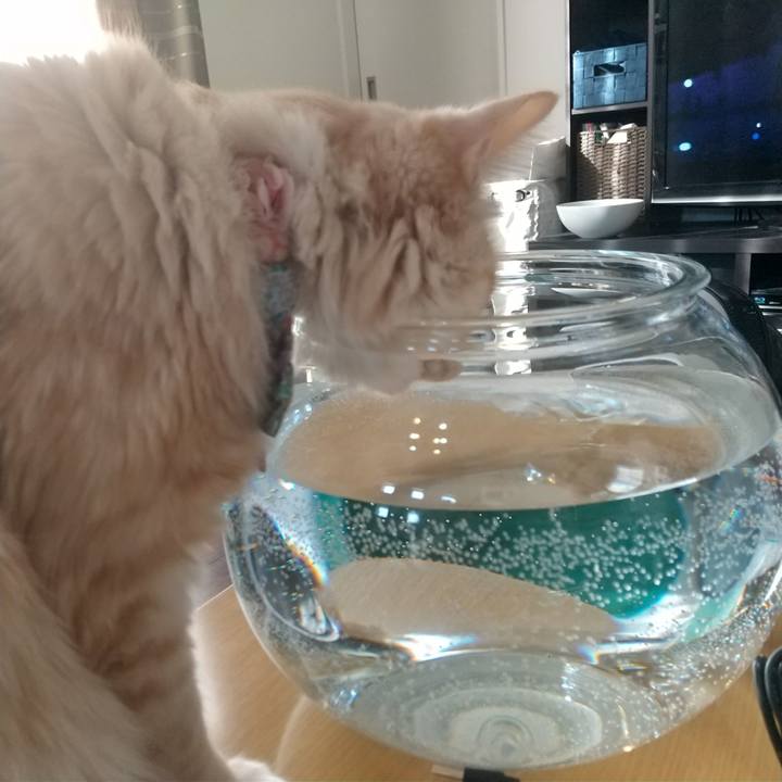 53ec9f94 9ec3 461d a4c1 f5998a0f9afc 1642294591420