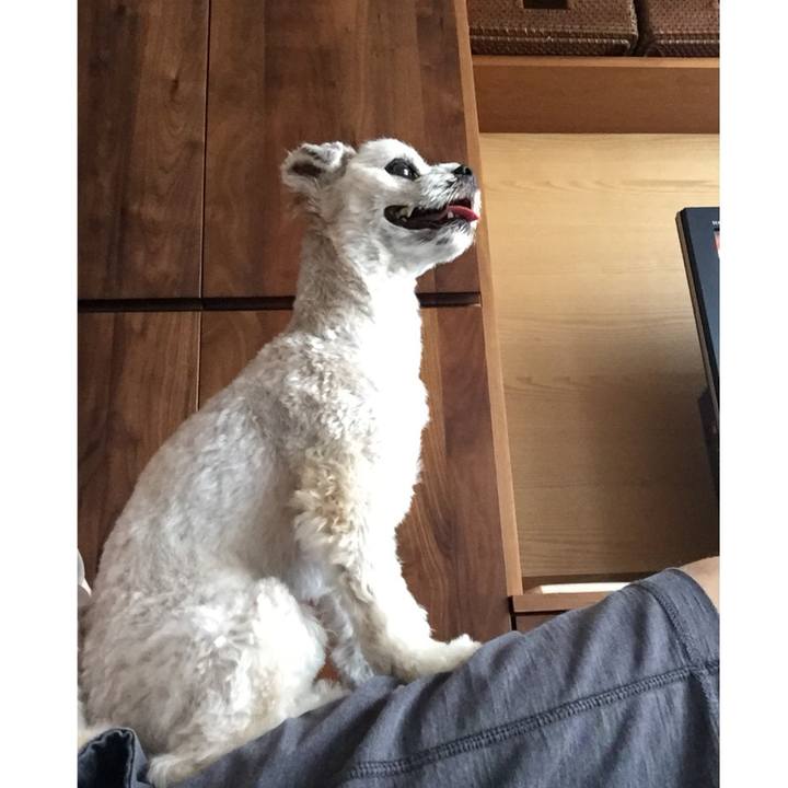 53ecb3d0 4fcb 4079 9ed4 5673069565a0 1534137252407