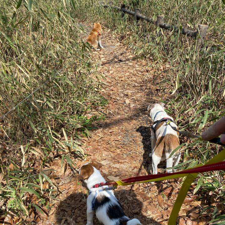 53ecccce f925 4cc8 ae46 f2172bcf024d 1615701765152