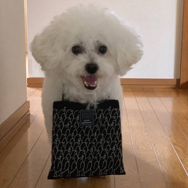 53ececf4 4e17 4533 9aaf 14b6bd067727 1741108935786