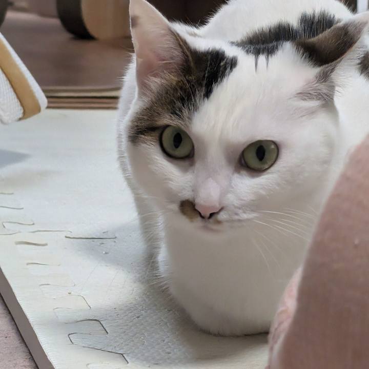 53ecfbcd 0f8b 4244 98be 96ce25394db9 1724977104472