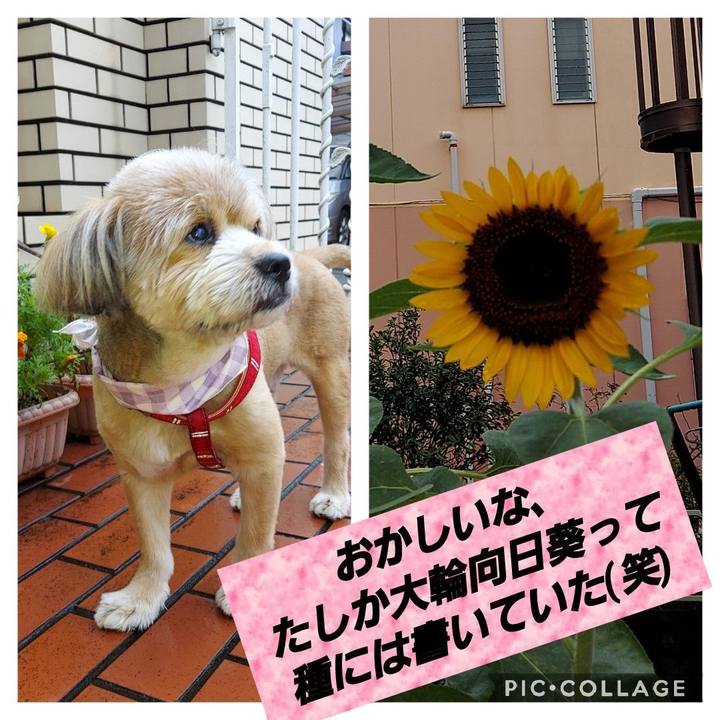 53ecffd0 9d12 4822 9a89 c48bab29e68c 1629238175569