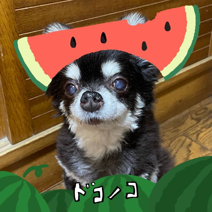 53ed0e98 3f85 4559 ac2a fd5c8f19d414 1720785549795