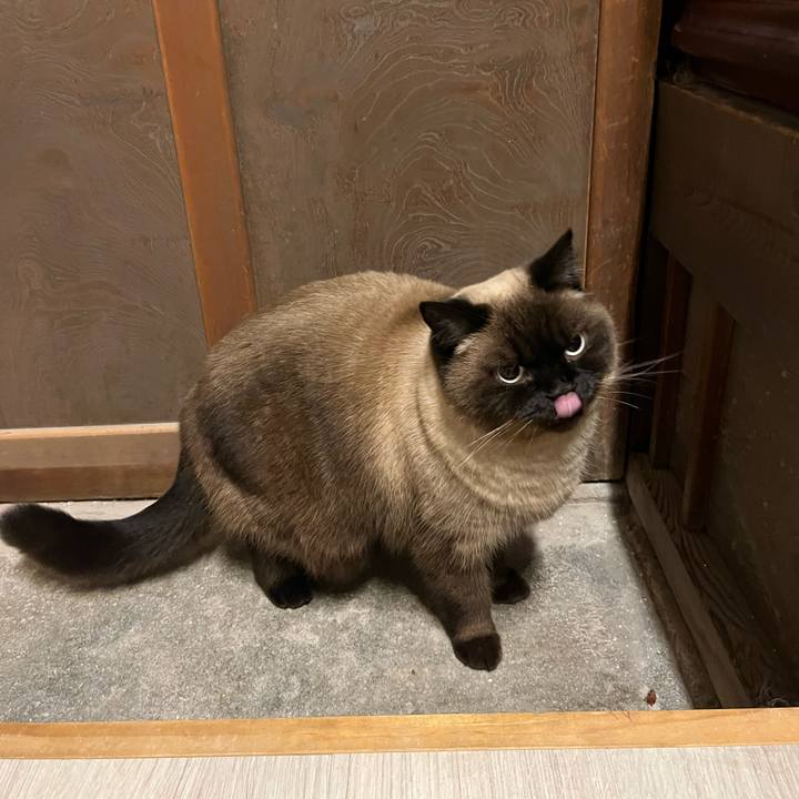 53ed30d6 65d2 4a0f b300 a77db2ef948c 1673954308948