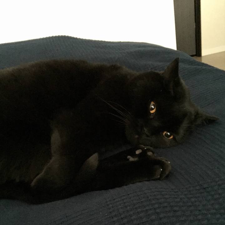 53ed4231 da8f 47ec bf6a 1dcbda156907 1587907686502