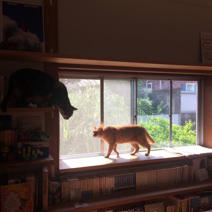 53edaa76 7039 469d a658 6cc01c77bf55 1527379191023