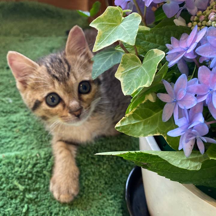 53edbab8 8223 4676 b691 92ad88d63c2d 1621314322378