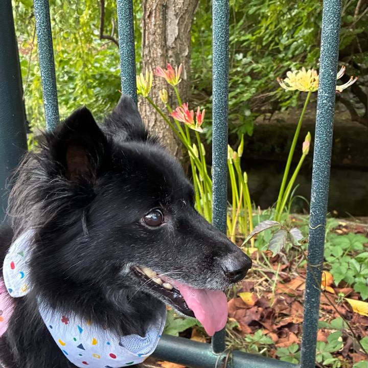 53edec46 701f 453a 9496 fb5830469913 1757944222498