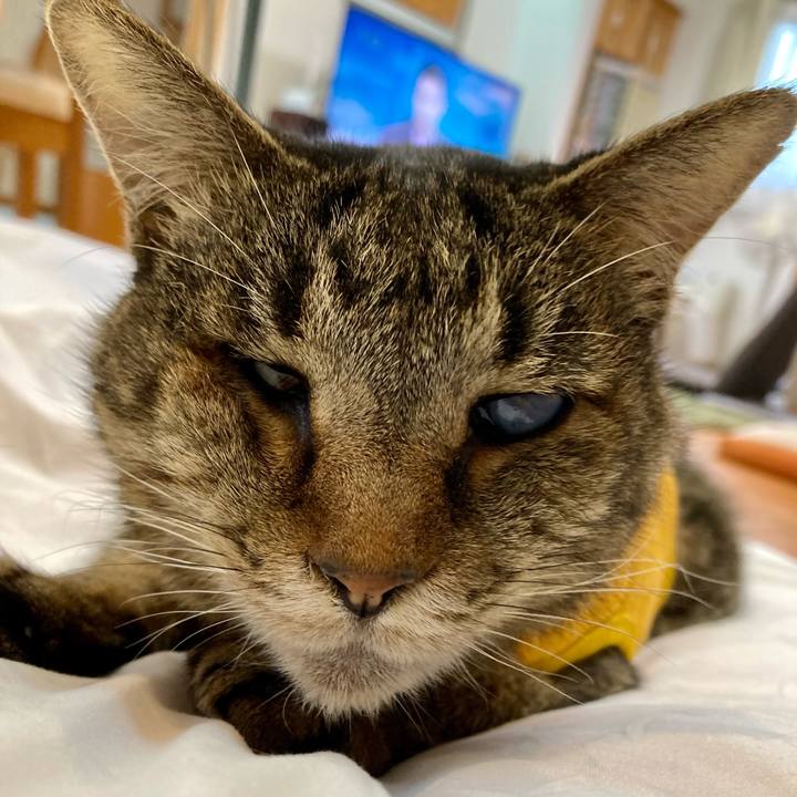 53ee0651 dc82 4fbc 8013 6d39e86cb8ed 1682815482516