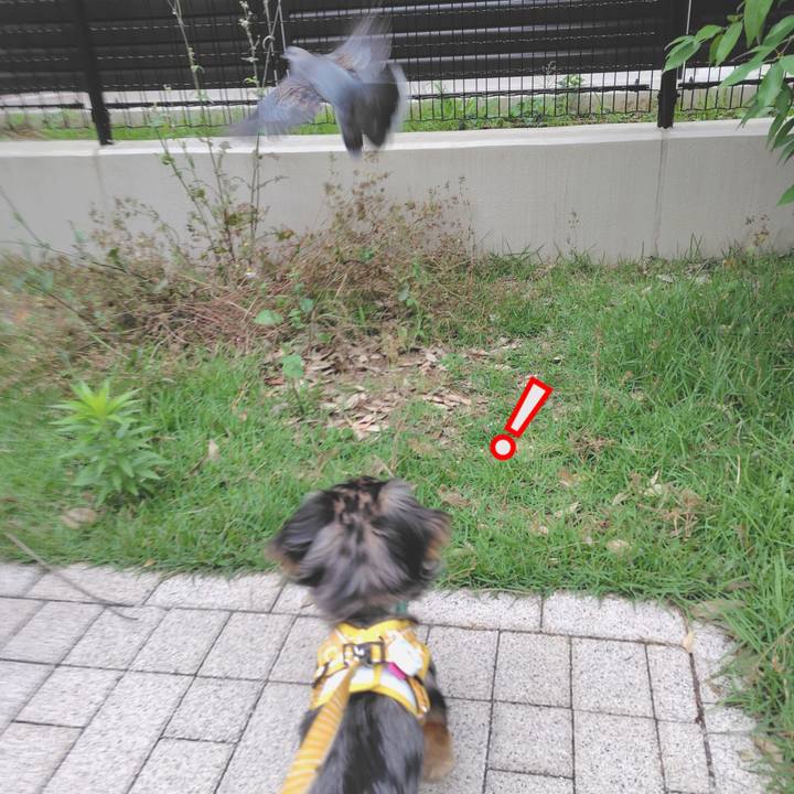 53ee2376 1f1c 454c 9481 fcde6347c9a4 1718233056632