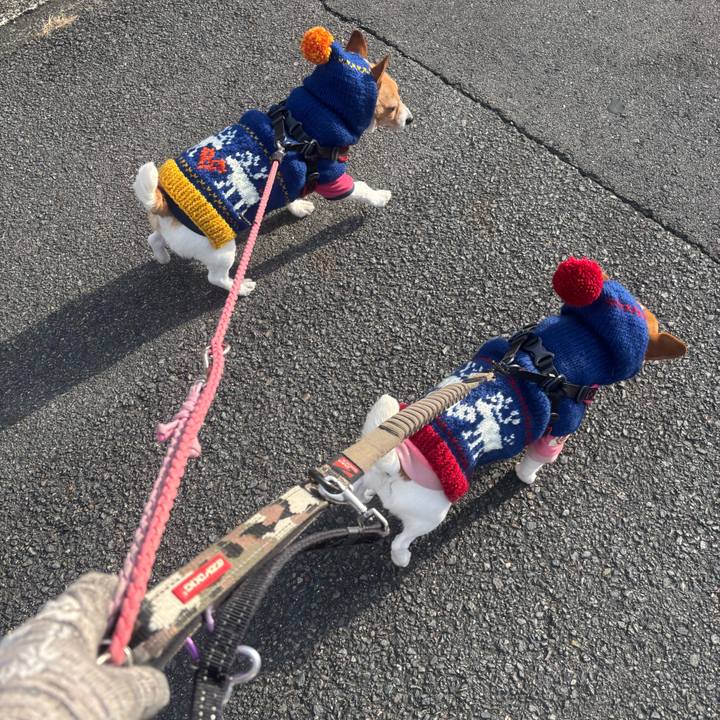 53ee2a0d 4cd7 422d 98ea 07f582c2e60e 1770032965911