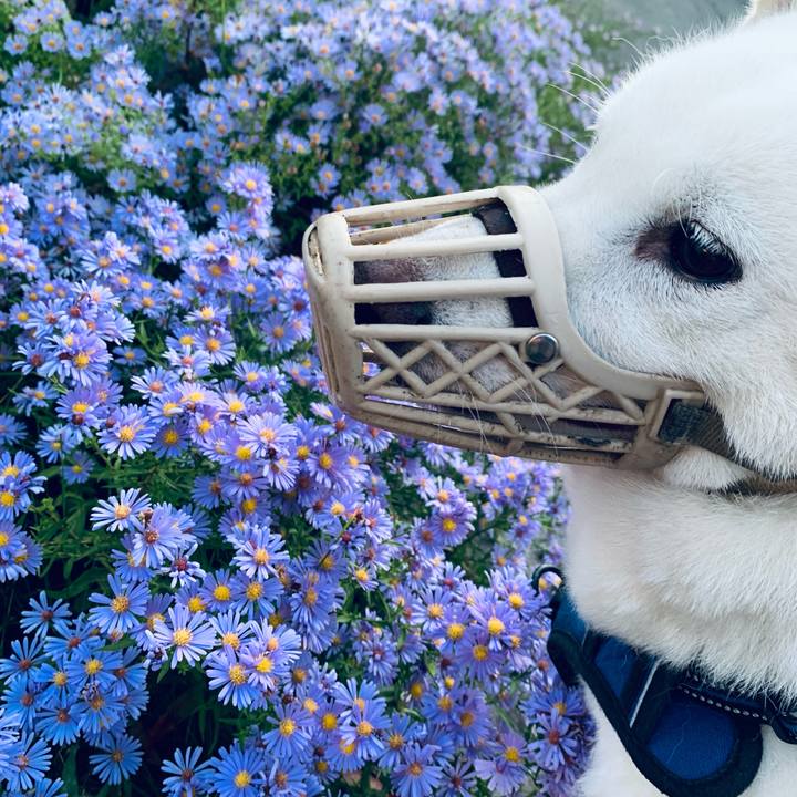 53ee41aa 7334 469d a0d2 0e51581ea263 1632605263904