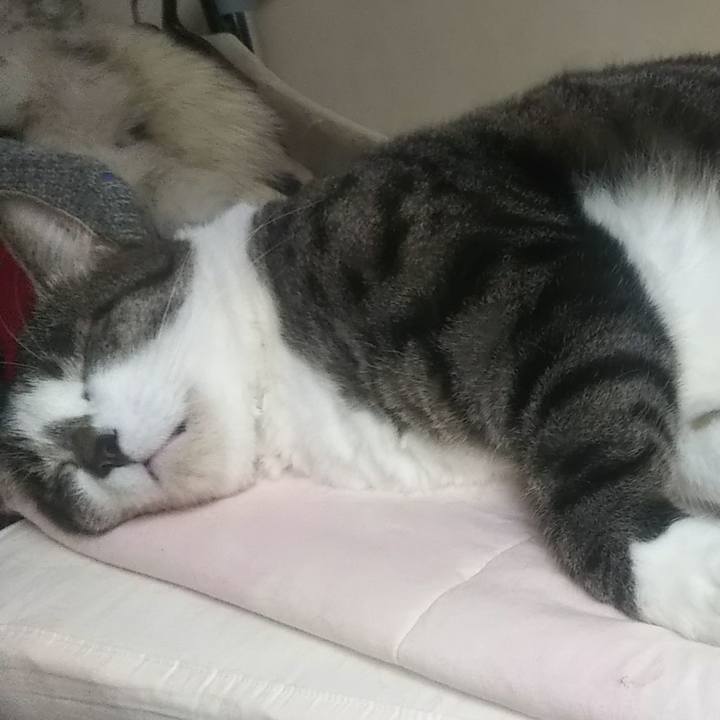 53ee80b0 ec8e 4e4e 93b4 830697c7cd67 1628514241376