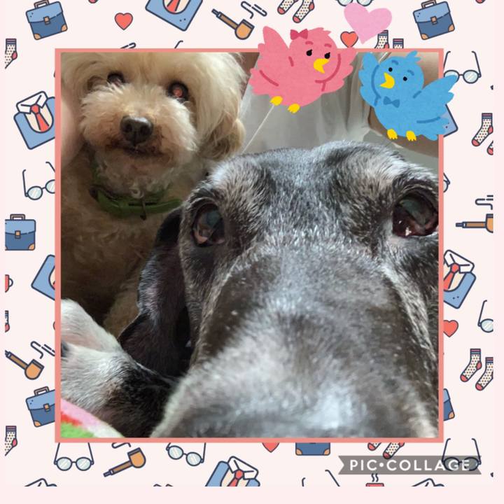 53eed838 d27b 42d9 97e2 1fd3b040ae54 1595761793060