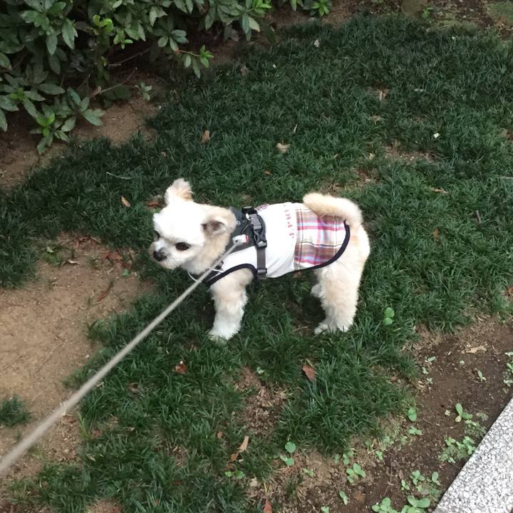 53eedece f465 467d ba7f 0d70cd738af4 1566127220121