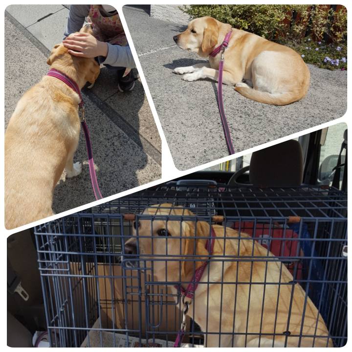 53eee03b d35b 42dc a683 6448b70ca3df 1522043863985