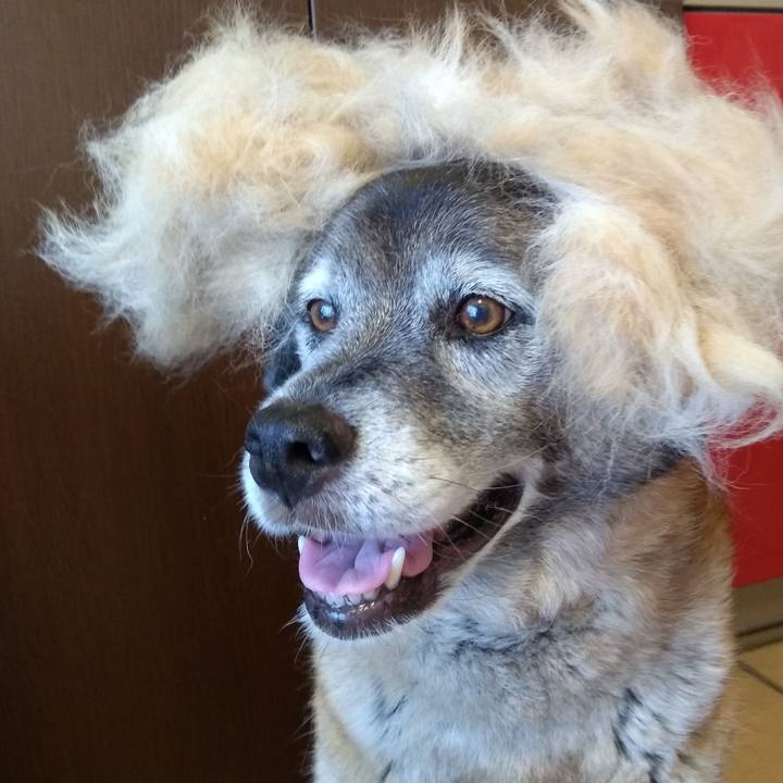 53eee06e 4fe6 47aa 8f9c f108073df85c 1625354061505