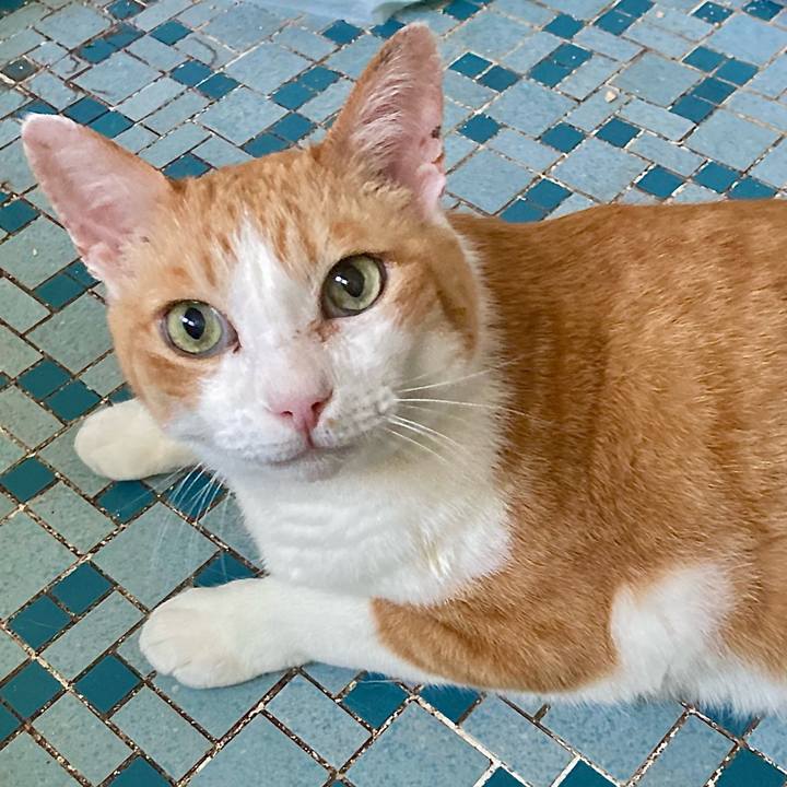 53eef92f 7bff 4d85 8335 4b45e68746ae 1656750170688