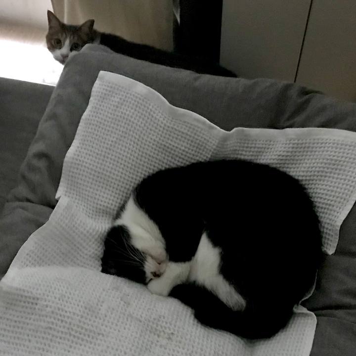 53ef0e7c d641 4172 90e2 a872f46189da 1564978107788