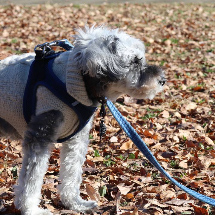 53ef6d33 0379 464f a276 ed0feae6a524 1764832978007