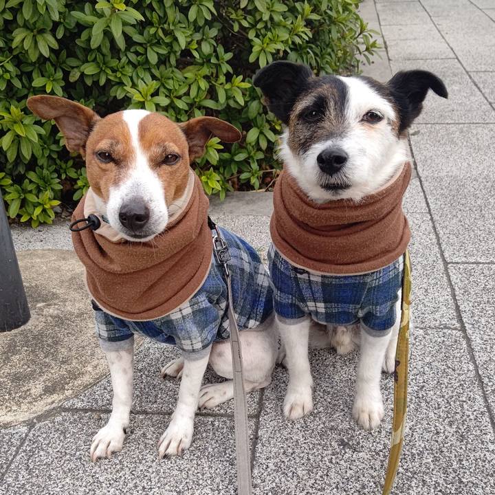 53ef9460 09d7 47c6 8f57 6dc262090ccf 1710800498067