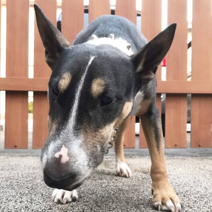 53effe4f 5437 4a5c accc 6c1454453b19 1509867748945