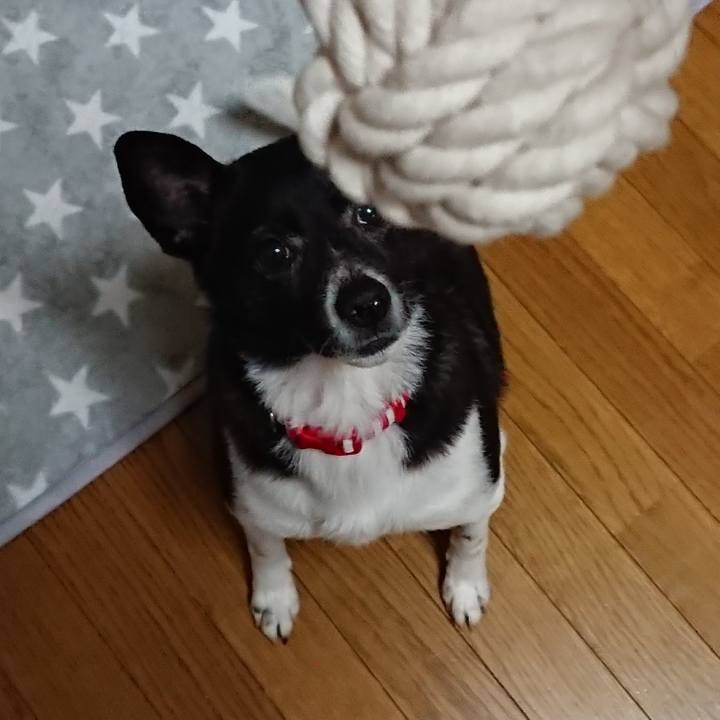 53f01402 807e 4c0c 8f1e 7211a9731f2f 1521805340226