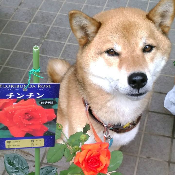 53f07656 f4f4 42b4 9db3 e1536981c331 1530749451122