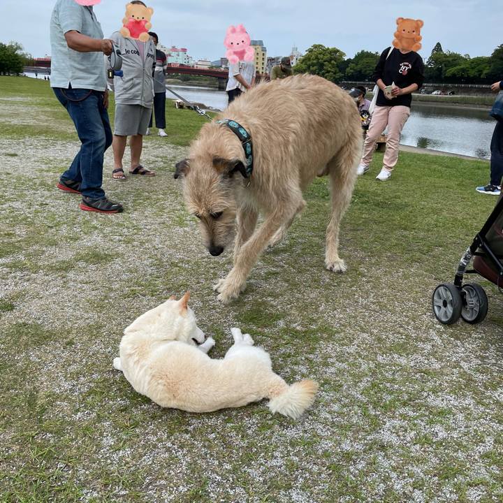 53f0867a ebd1 481e a9be e20d10b95ee2 1652008365690