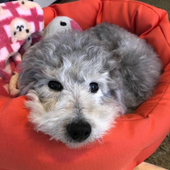 53f09bf8 a2c7 44e5 9f16 a9ff8d6edd57 1526340643309