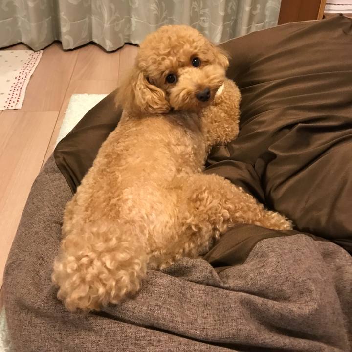 53f0cc0f cf82 4d69 a201 5a7a7d0b22d2 1528729891246