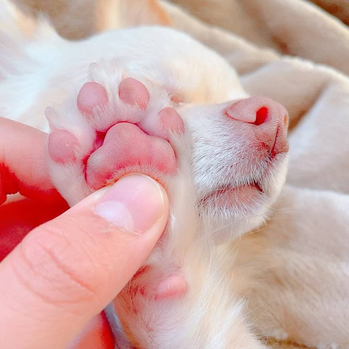 53f1179b dcf9 4453 a7bc d2044afab496 1622512715743