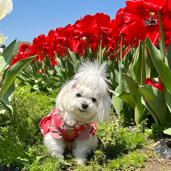 53f1290d 1f32 4574 8185 d345eca334b2 1763468818744