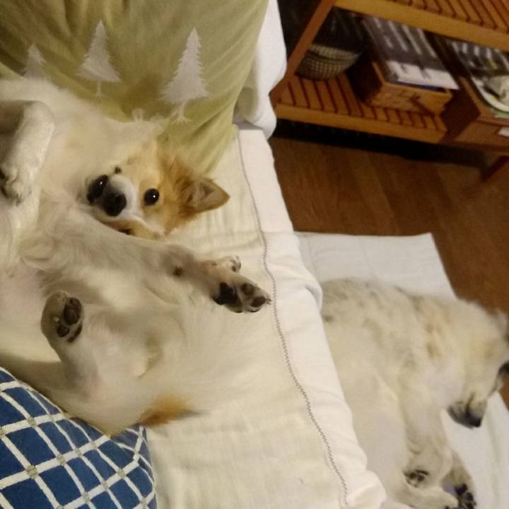 53f16510 c970 4aa8 a9c1 4aff4cccfb63 1508150418836