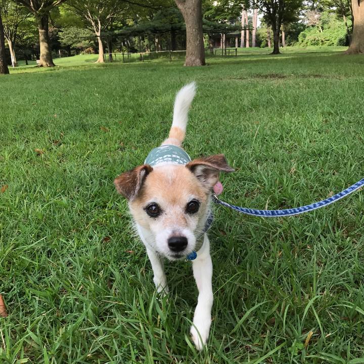 53f18f94 060d 4741 8364 d798485659db 1661677811741