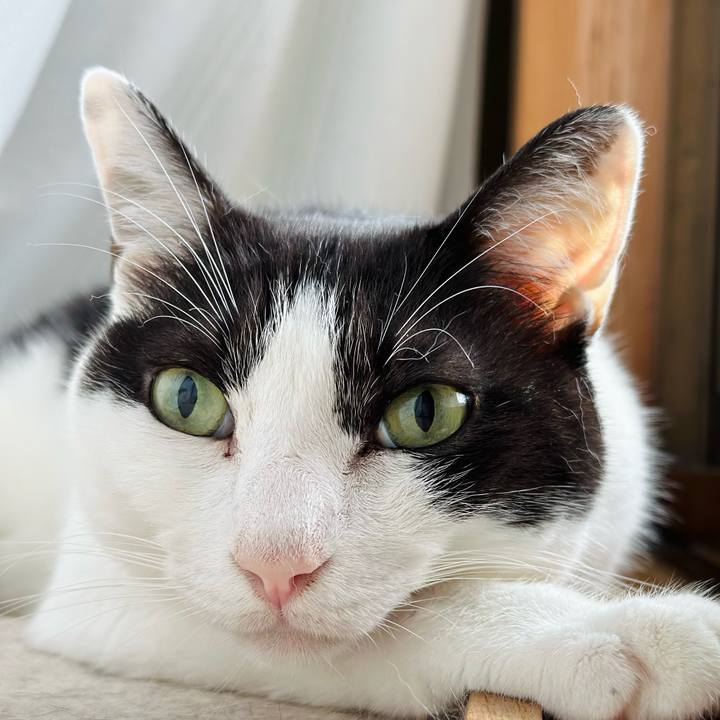 53f19f07 fc05 4a34 b5cc 928d77b9899d 1726275169600