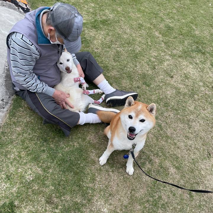 53f1a743 c365 4dc8 abde bc8963a58dbc 1682348494577