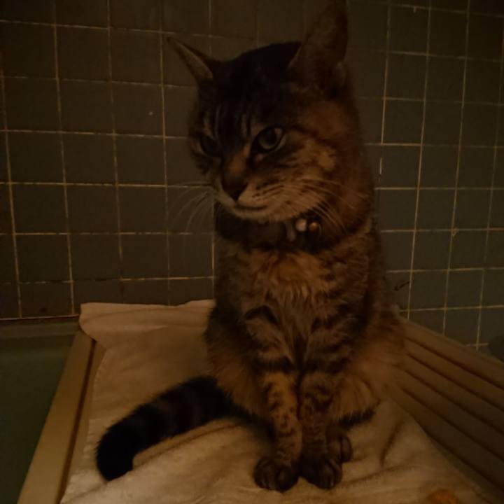 53f1a8e8 d18e 4b26 a137 9ddb055eba6c 1583231012407