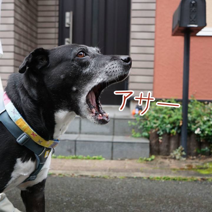 53f1c587 ec0a 4693 885e 06d50b19cb7a 1760575983523