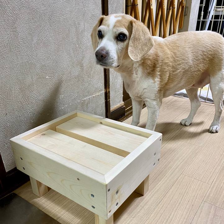 53f20dd8 85e4 4cdf bd3e c0d397dcca32 1594117912807