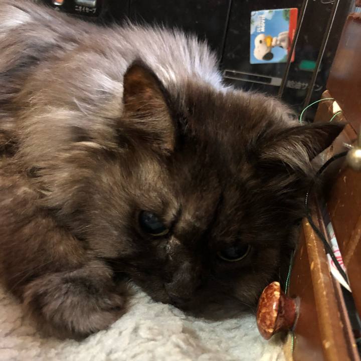 53f225e4 15ae 4cb8 baf1 87f20c01c9a7 1552601030114